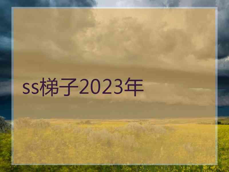 ss梯子2023年