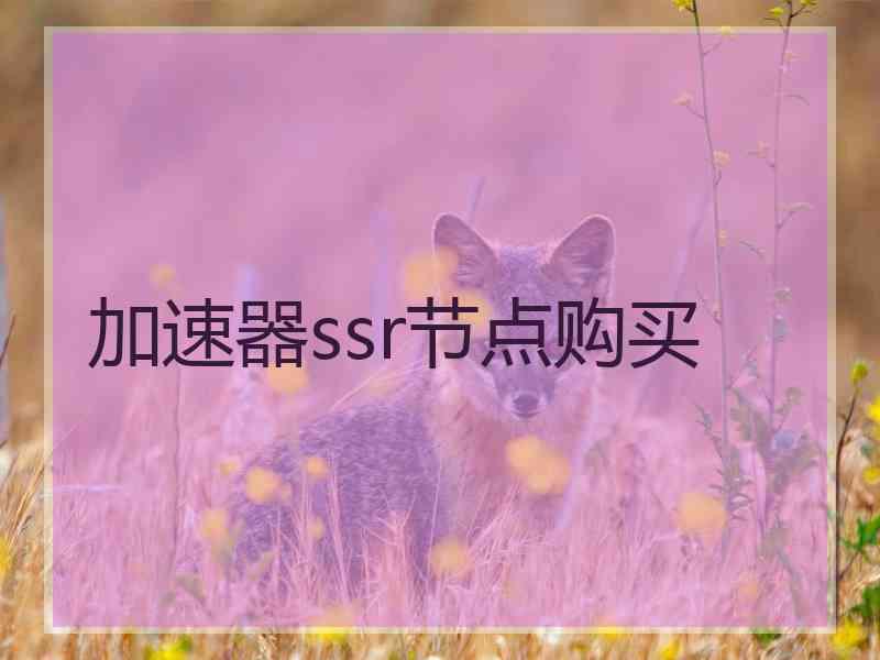 加速器ssr节点购买