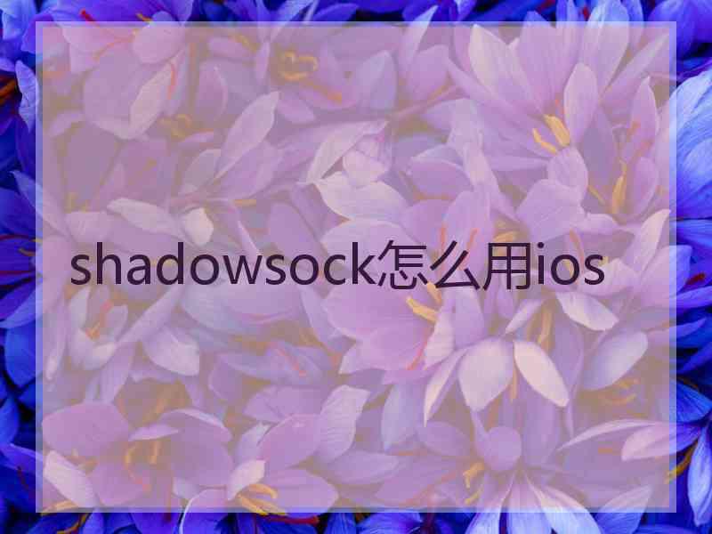 shadowsock怎么用ios