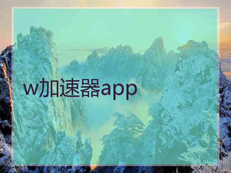 w加速器app