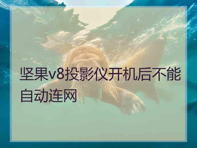 坚果v8投影仪开机后不能自动连网