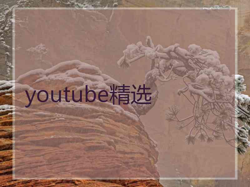 youtube精选