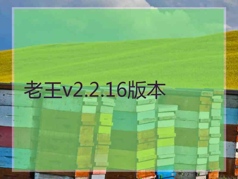 老王v2.2.16版本