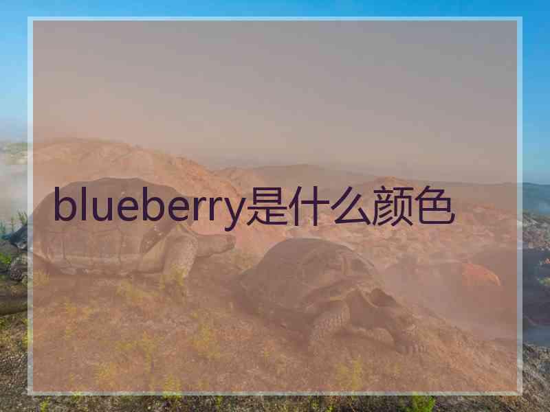 blueberry是什么颜色