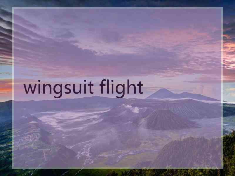 wingsuit flight