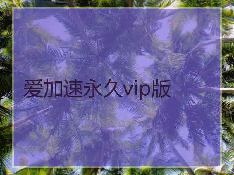 爱加速永久vip版