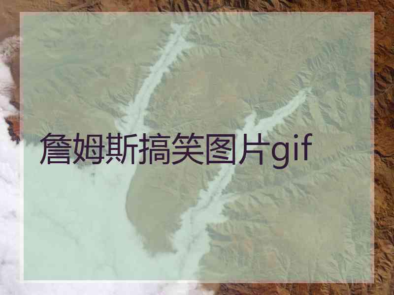 詹姆斯搞笑图片gif