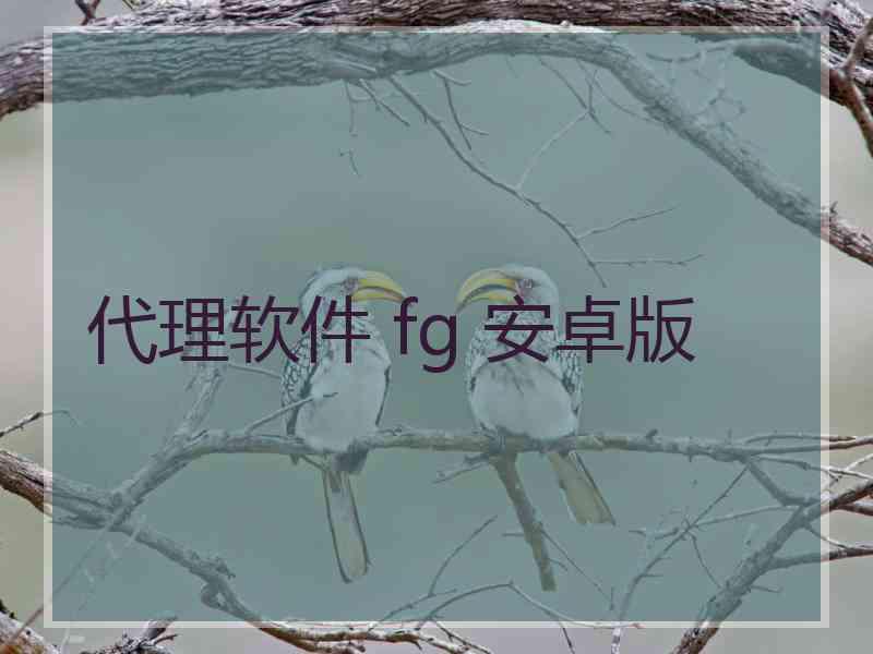 代理软件 fg 安卓版