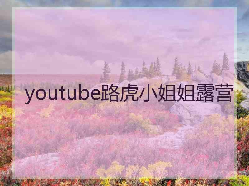 youtube路虎小姐姐露营