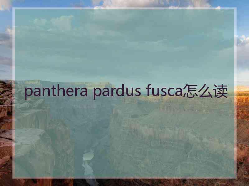 panthera pardus fusca怎么读