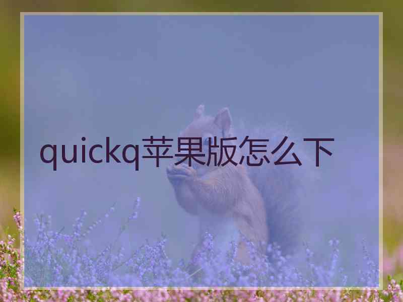 quickq苹果版怎么下