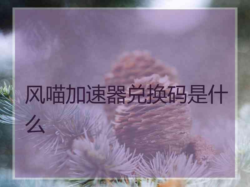 风喵加速器兑换码是什么