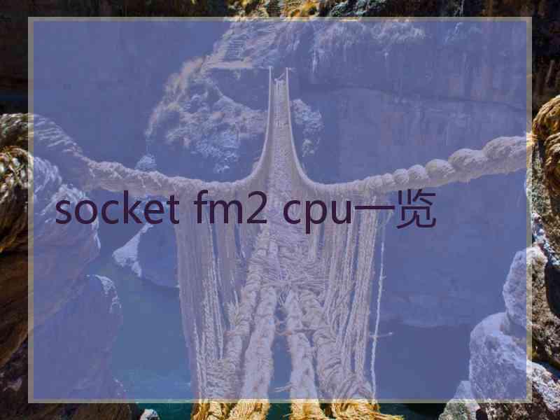 socket fm2 cpu一览