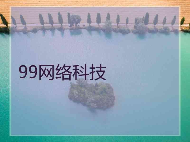 99网络科技