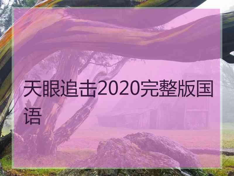 天眼追击2020完整版国语