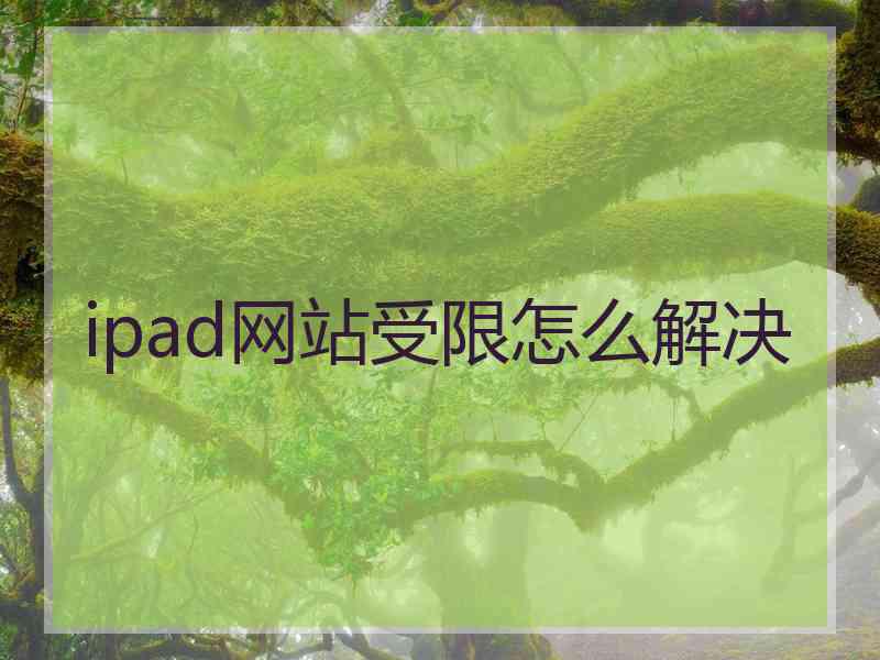 ipad网站受限怎么解决