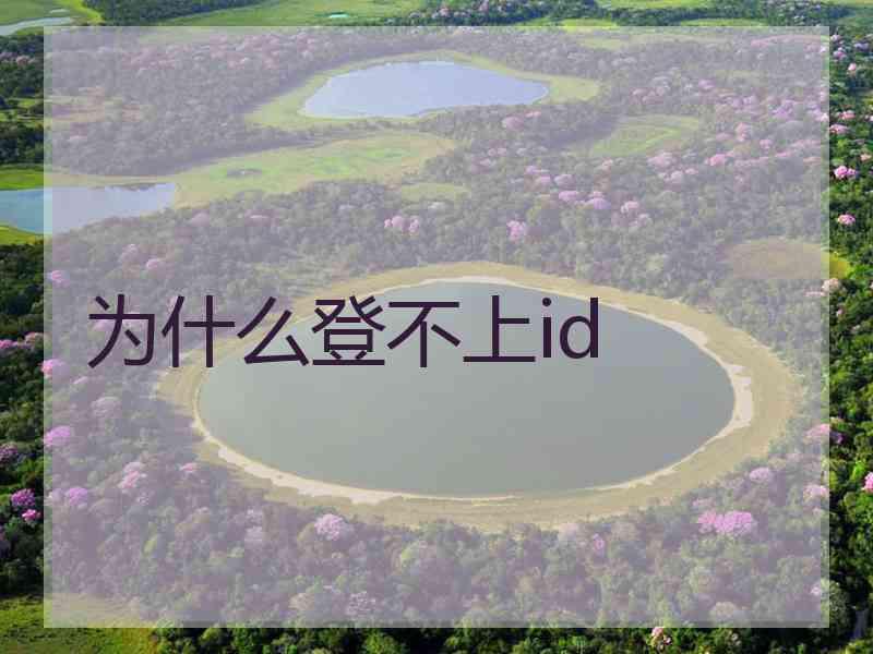 为什么登不上id