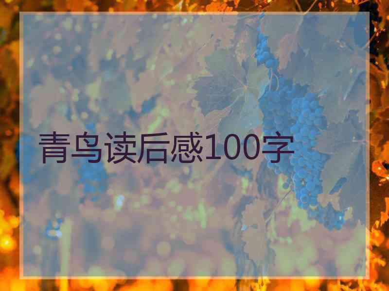 青鸟读后感100字