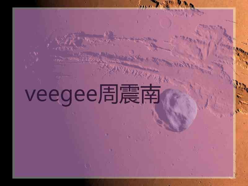 veegee周震南