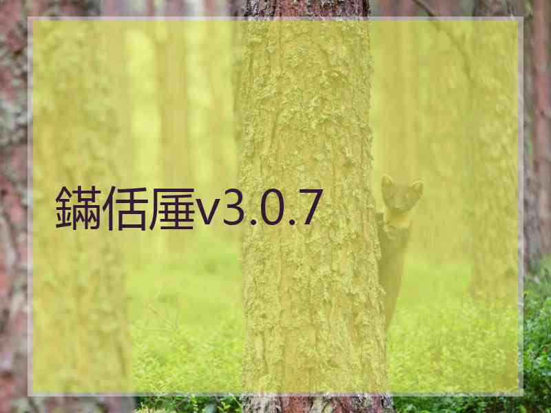 鏋佸厜v3.0.7