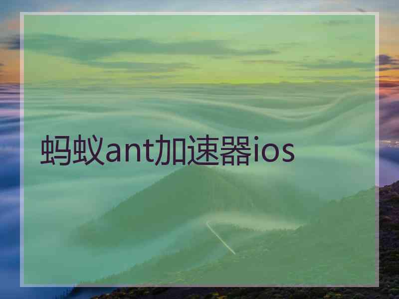 蚂蚁ant加速器ios