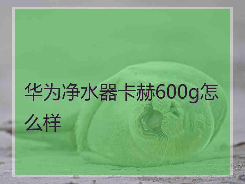 华为净水器卡赫600g怎么样