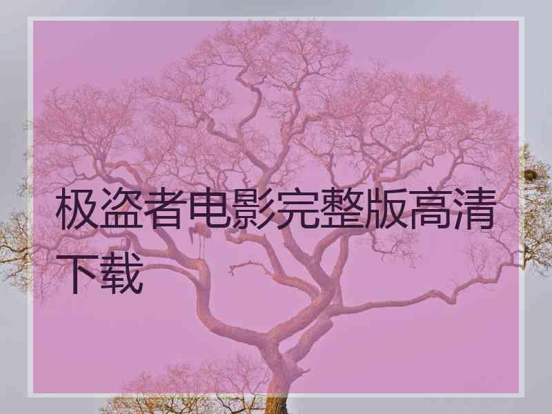 极盗者电影完整版高清下载