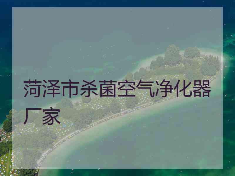 菏泽市杀菌空气净化器厂家