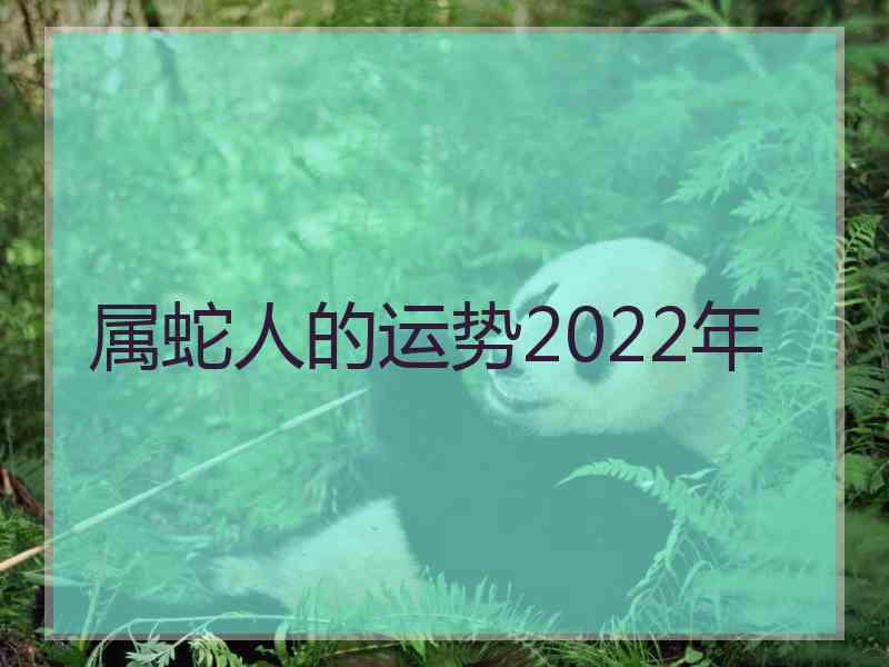 属蛇人的运势2022年