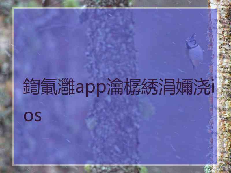 鍧氭灉app瀹樼綉涓嬭浇ios