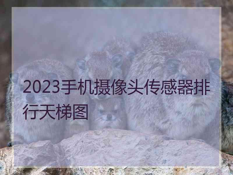 2023手机摄像头传感器排行天梯图