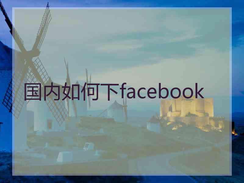 国内如何下facebook