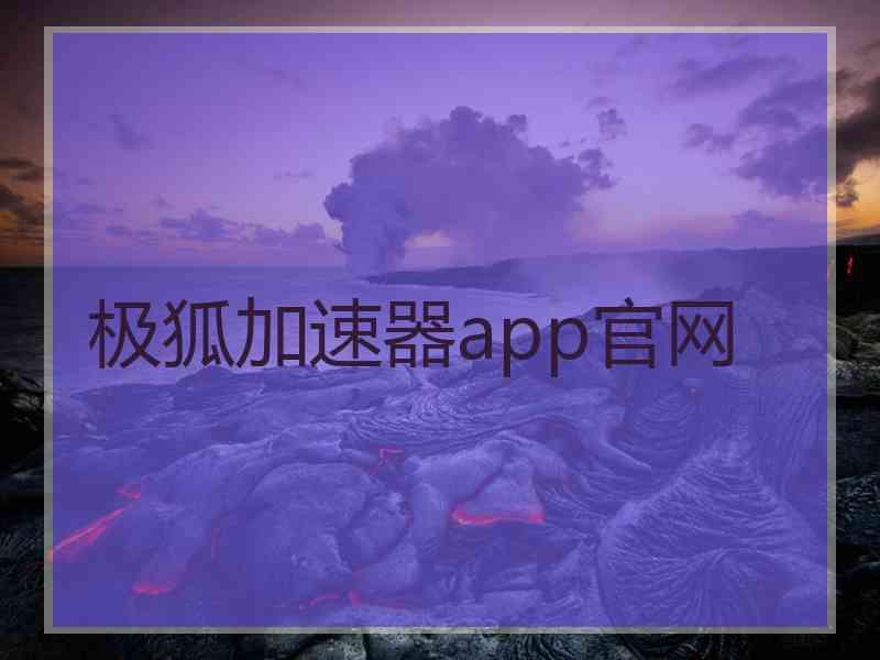 极狐加速器app官网