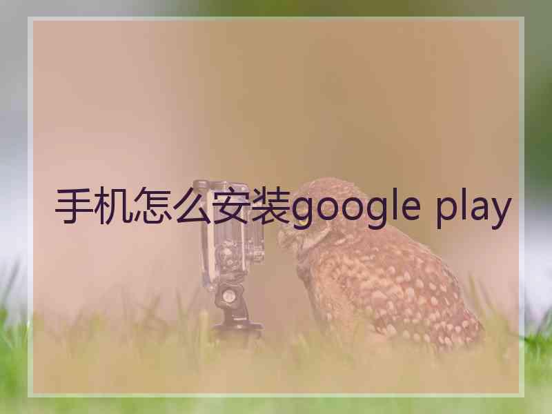 手机怎么安装google play