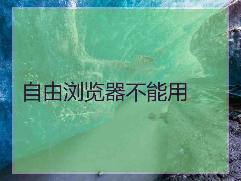 自由浏览器不能用