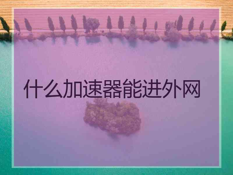 什么加速器能进外网