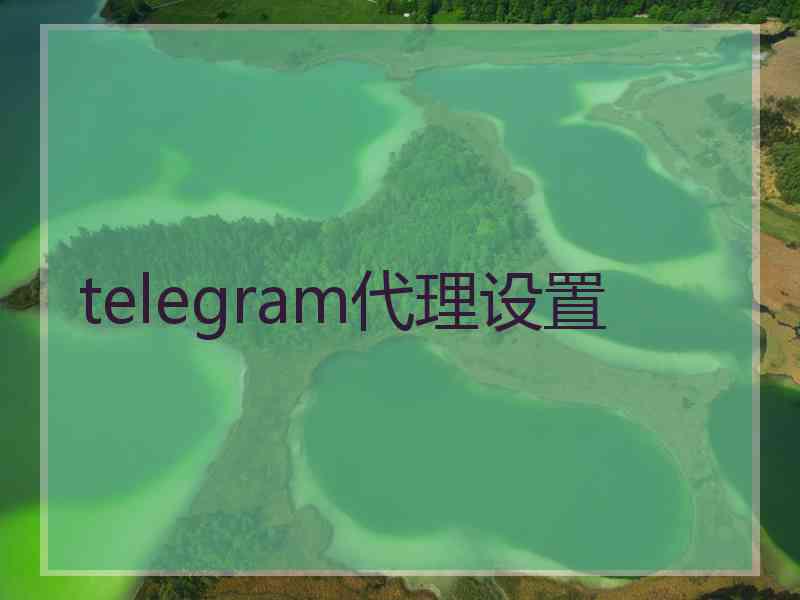 telegram代理设置