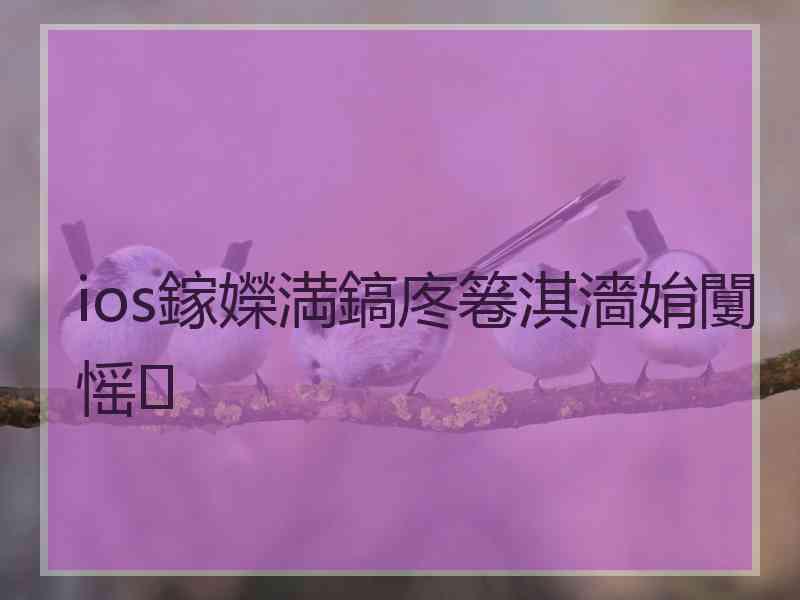 ios鎵嬫満鎬庝箞淇濇姢闅愮