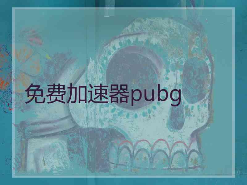 免费加速器pubg