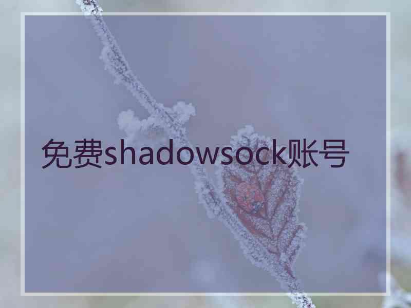 免费shadowsock账号