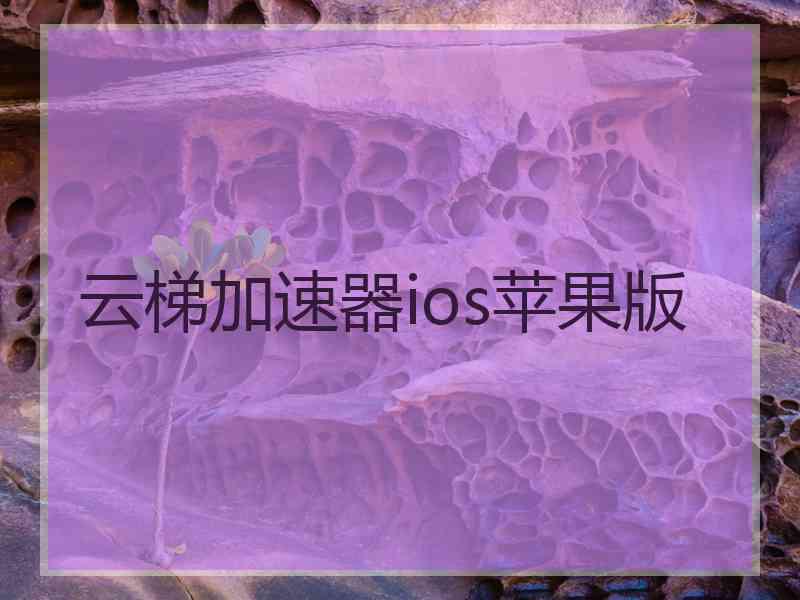 云梯加速器ios苹果版