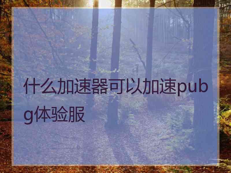 什么加速器可以加速pubg体验服