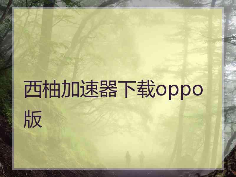 西柚加速器下载oppo版