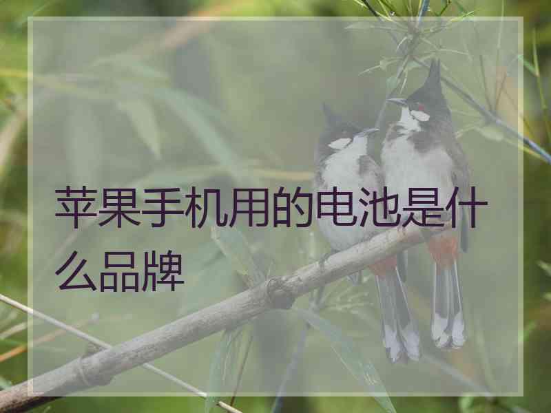 苹果手机用的电池是什么品牌