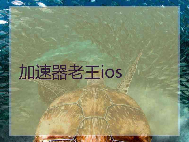 加速器老王ios