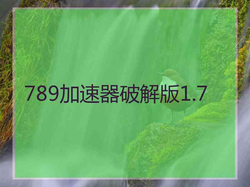 789加速器破解版1.7