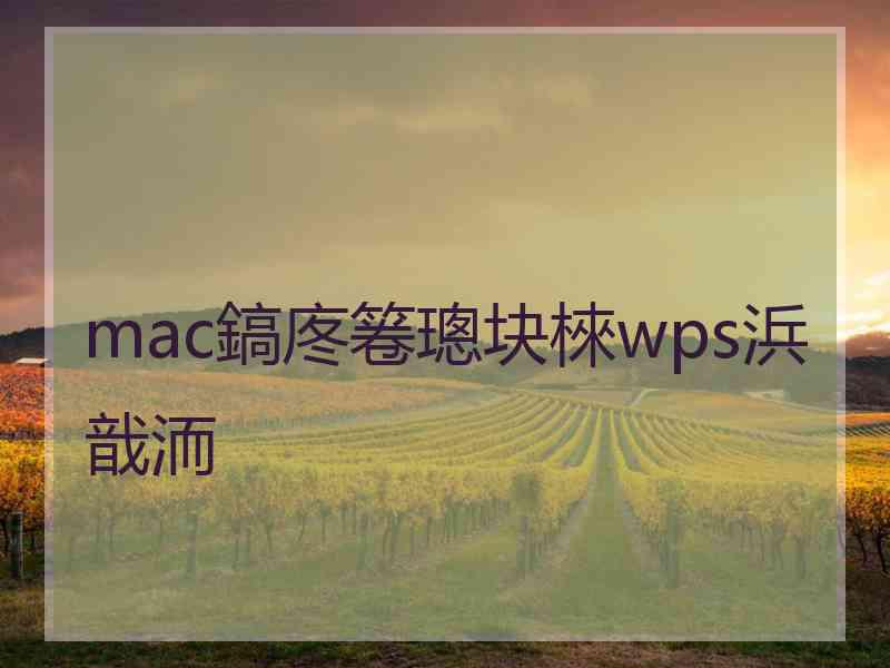 mac鎬庝箞璁块棶wps浜戠洏