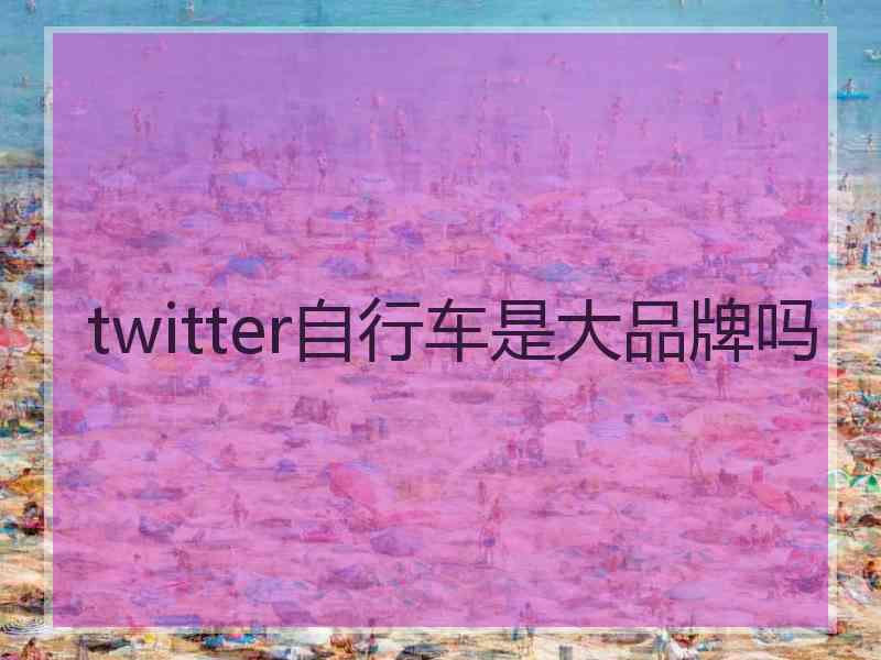 twitter自行车是大品牌吗