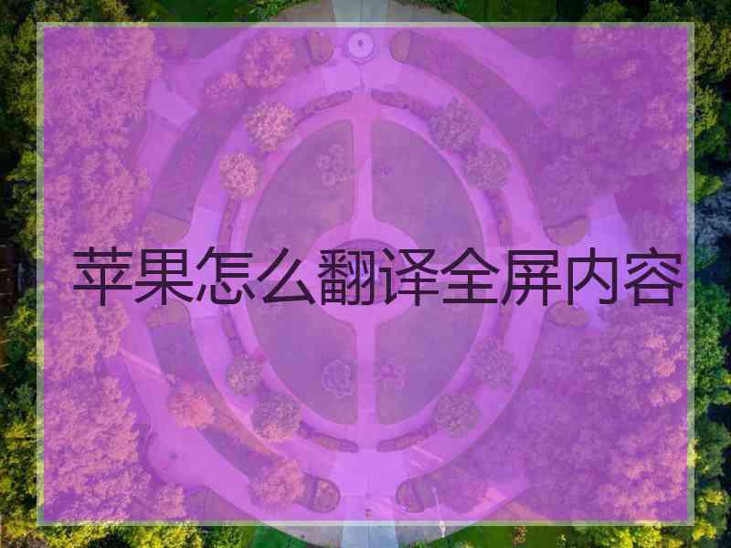 苹果怎么翻译全屏内容