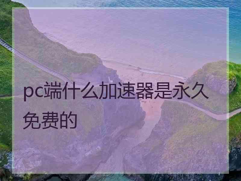 pc端什么加速器是永久免费的